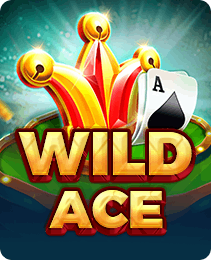 Wild Ace — reel games title in the Bonu1 app lobby